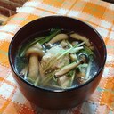 アウトドアで♡水菜としめじの鶏だんごスープ